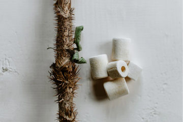 Standing Spruce Devil Club Healing Protection Bead