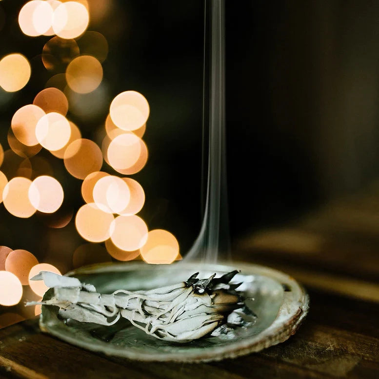 Standing Spruce Farm + Apothecary Abalone Smudge Bowl with White Sage Sprig