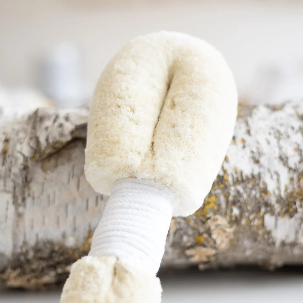 Thrive Urban Wellness Service 60 Minutes / Charlotte Scott Massage with Dry Brushing