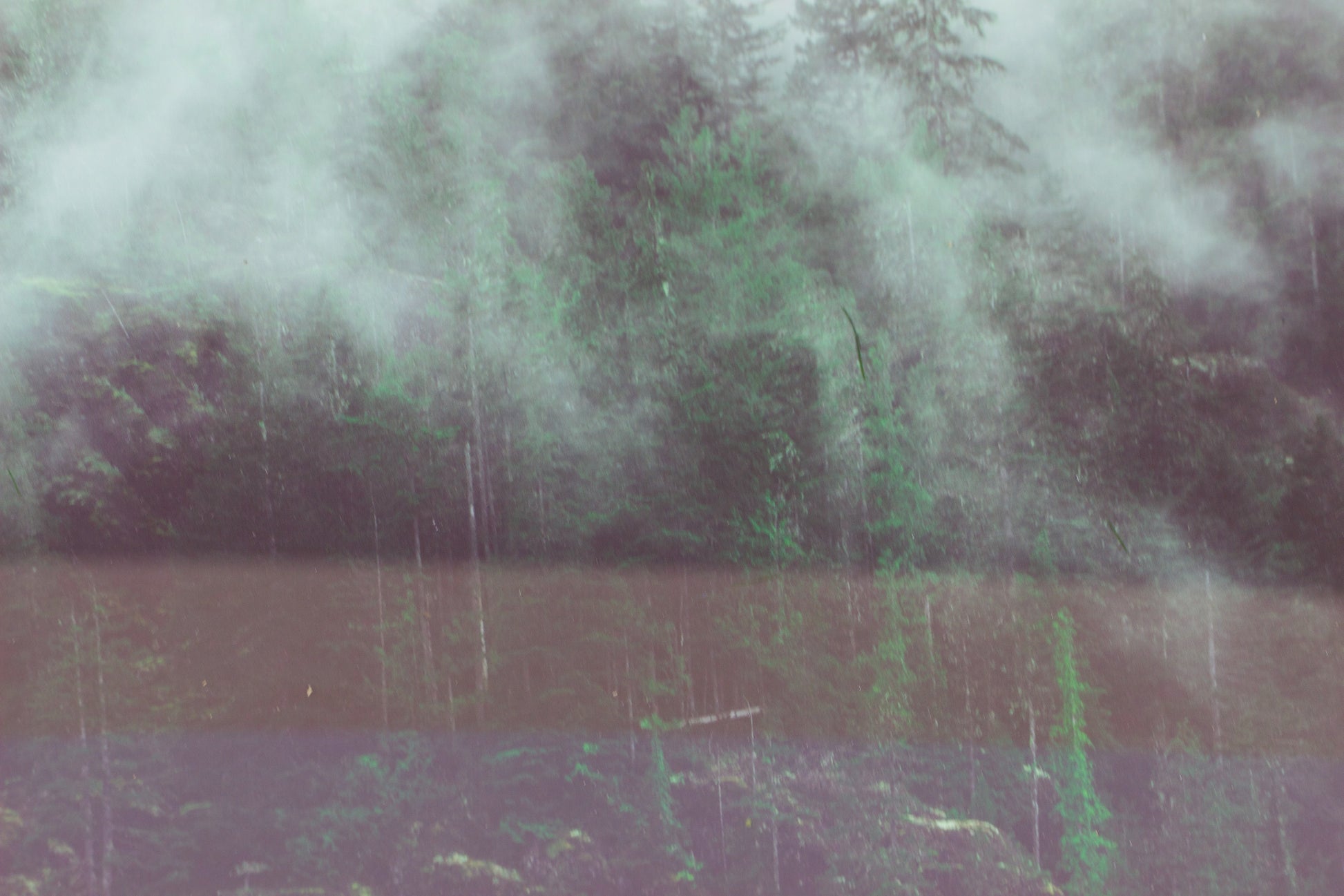 ThriveUrbanWellness Misty Mountain Framed Forest Print