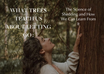 What Trees Teach Us About Letting Go - The Science of Shedding and How We Can Learn From It