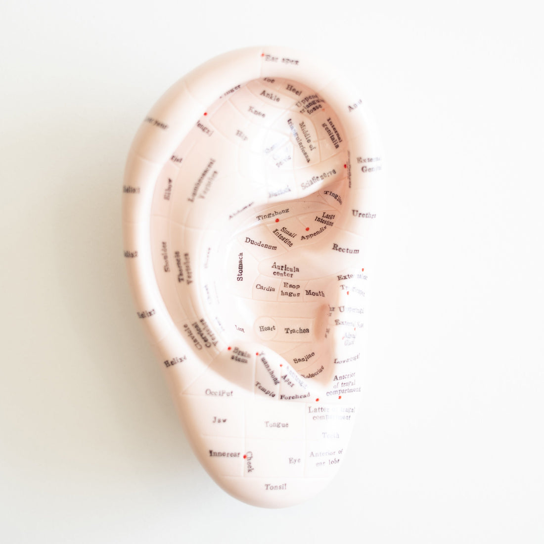 Auricular Acupressure