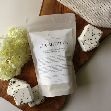 EUCALYPTUS | shower steamer by Hudson Soap Co.