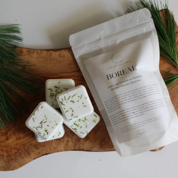 BOREAL | shower steamer by Hudson Soap Co.