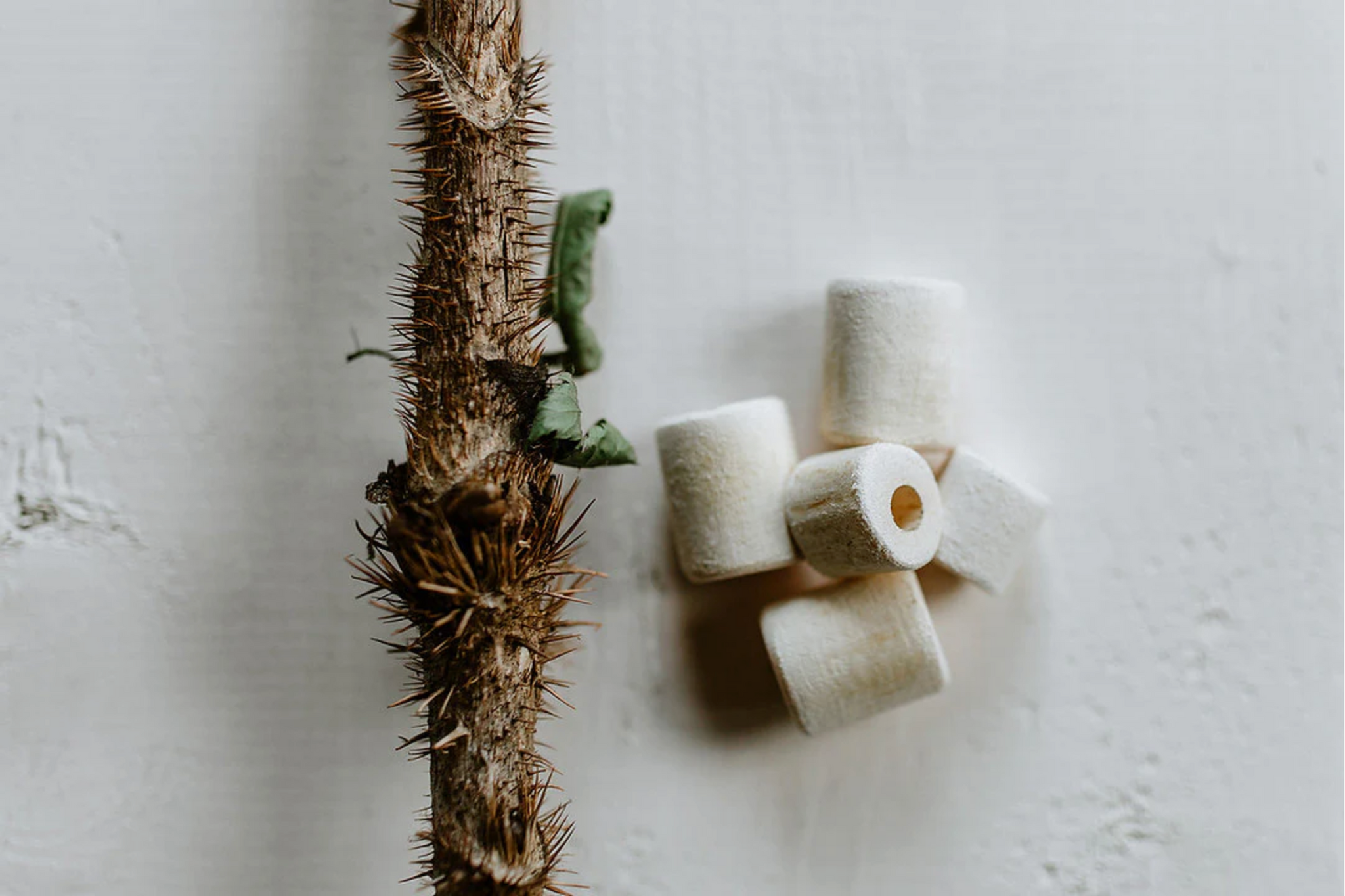 Standing Spruce Devil Club Healing Protection Bead