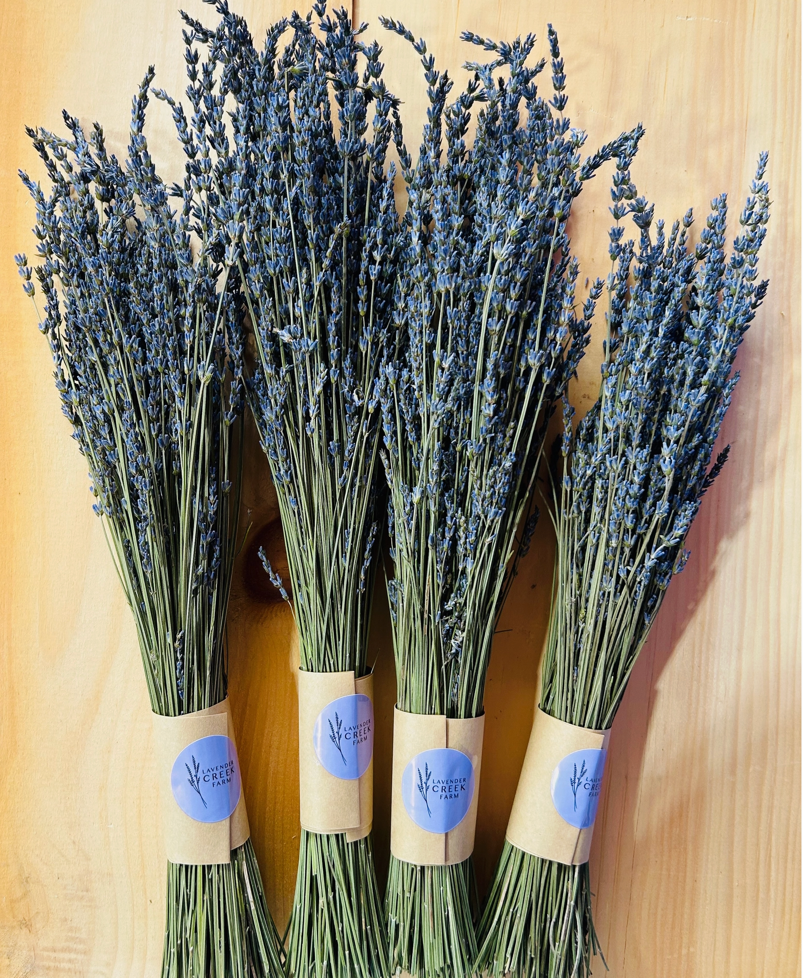 Dried French Lavender Bouquets by Lavender Creek Farm