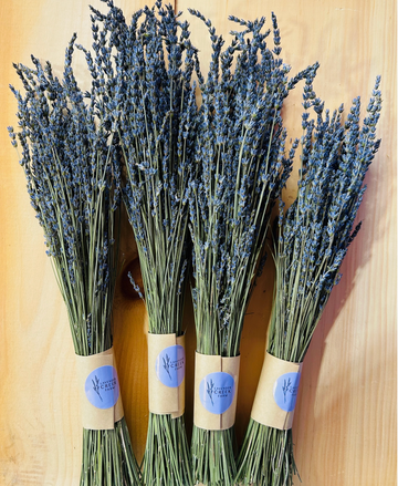 Dried French Lavender Bouquets by Lavender Creek Farm