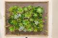 ThriveUrbanWellness Artificial Living Wall with Frame