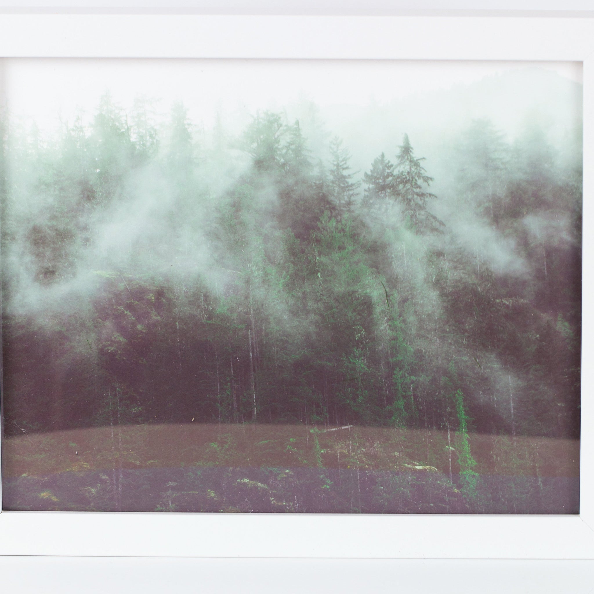 ThriveUrbanWellness Misty Mountain Framed Forest Print