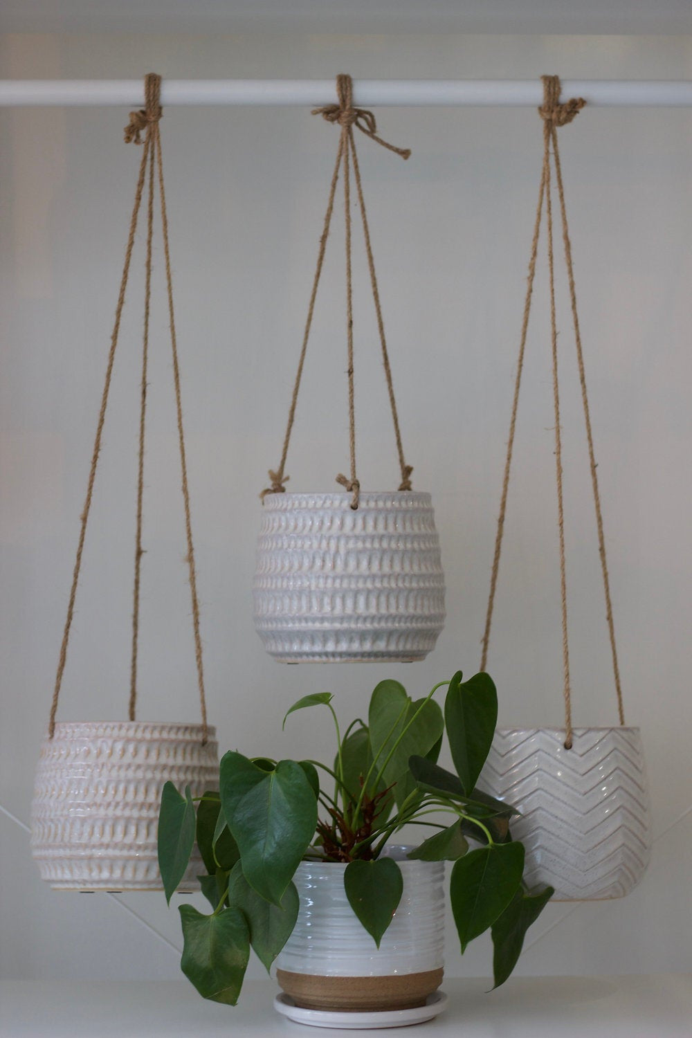 ThriveUrbanWellness 6" Planters